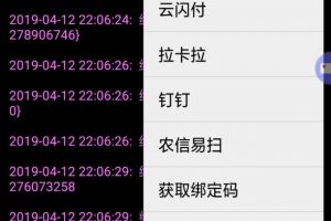 【聚合支付系统】支付宝/微信/农信易扫/飞行模式第三方第四方支付通道完整APP自用[带教程]