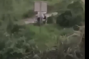 真实TP！铜仁职业技术学院 小情侣草地旁石凳上的解压时刻！