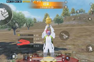 和平精英手游·除草1子助手V1.1【免root】「2023.」