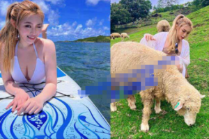 极品网美推特尤物『kitty』顶级露脸反差私拍～身材颜值天花有钱人玩物