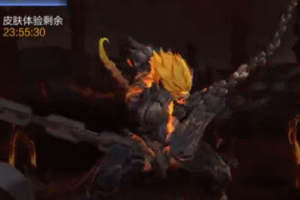 王者半火全皮肤觉悟专属秒复活秒杀