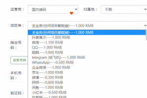 短信接收验证码发送验证码-可拨打电话也可以接电话-电话跳板