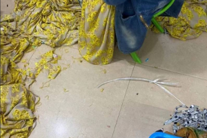 各路网红博主 纷纷展示顶级攻速装【黄色战袍】 果然顶呱呱！