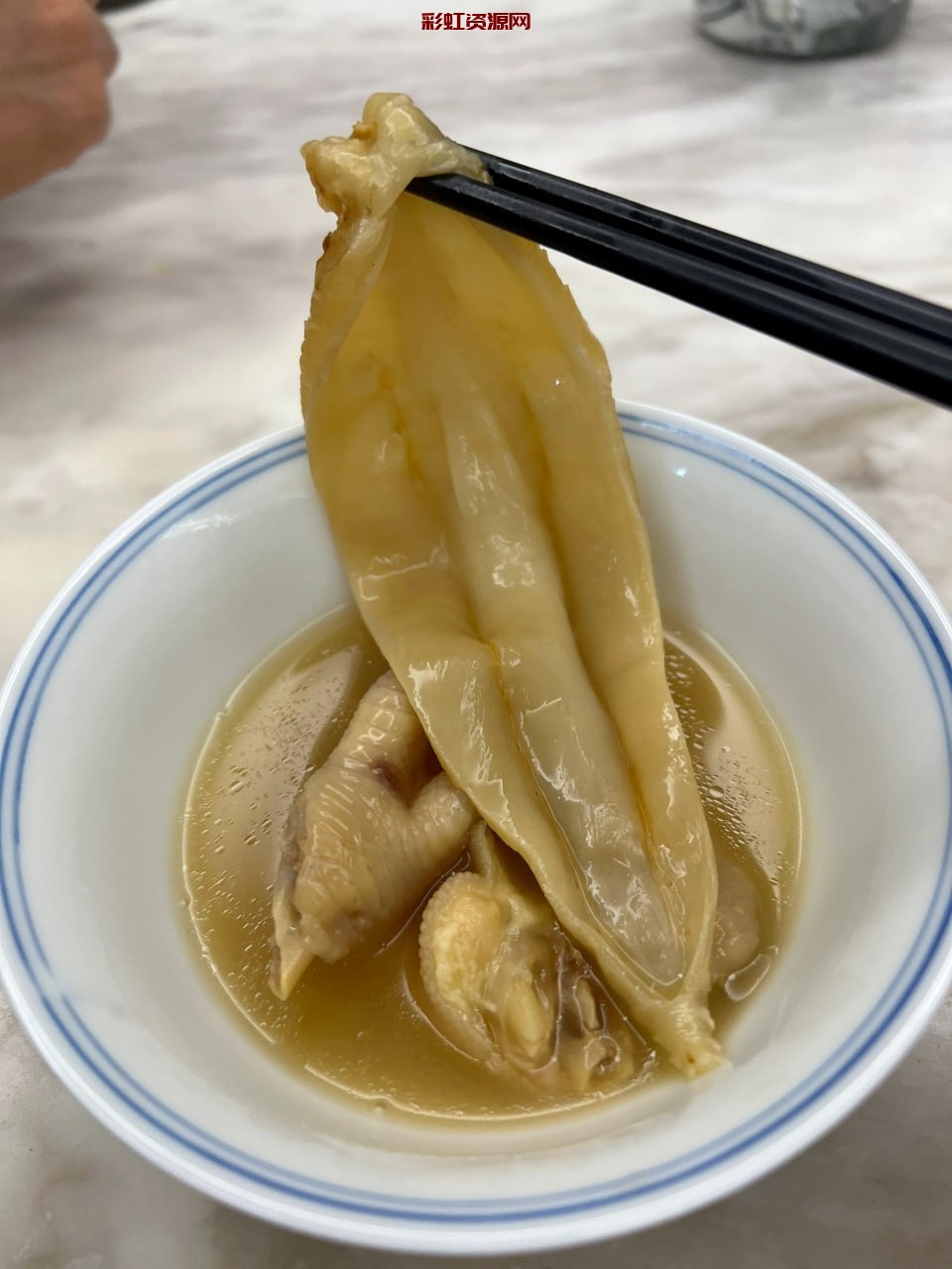 #鱼胶  #花胶  #海参