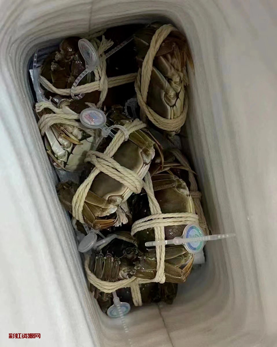 #潮汕   #生腌   #家常菜