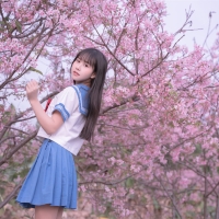 萌芽儿o0 樱花jk