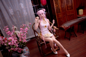 周叽是可爱兔兔 超级索尼子旗袍