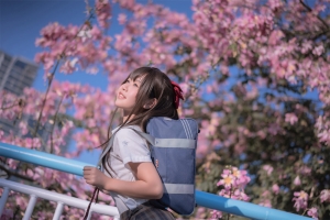 萌芽儿o0 异木棉花