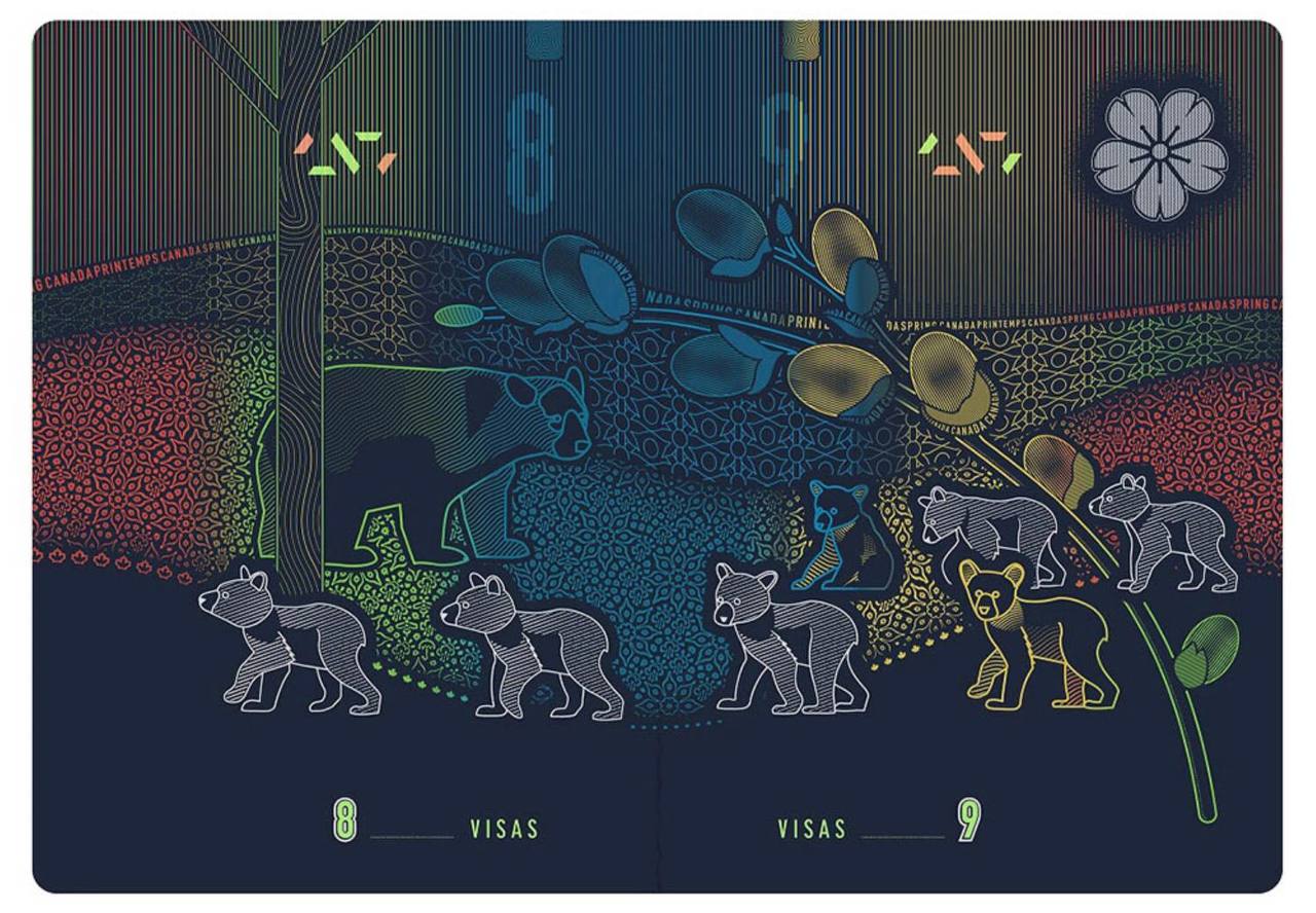 #加拿大?? #护照 #证件