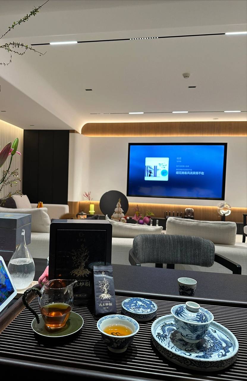 #喝茶 #居家 #房间