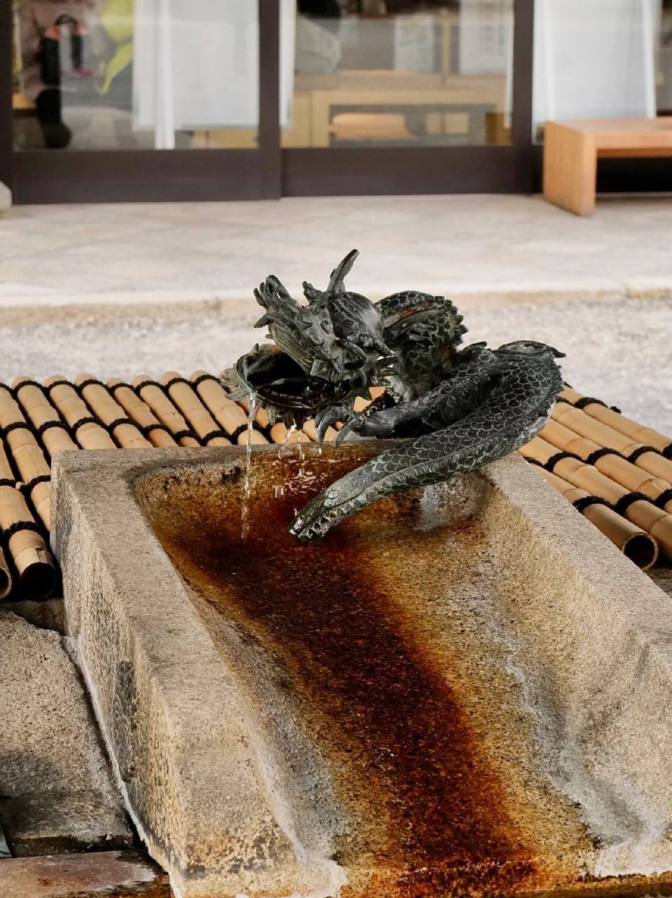 #日本?? #京都  京都西本愿寺??百年银杏美哭了   进园一共有三株银杏，最高像?的那个才100+岁 中间被层层保护的“爷爷树”已经400多岁啦 还有另一侧像西蓝花?的300岁 都很美很出片！   西本愿寺是京都最大教派 非常豪横?所以不收门票哦！