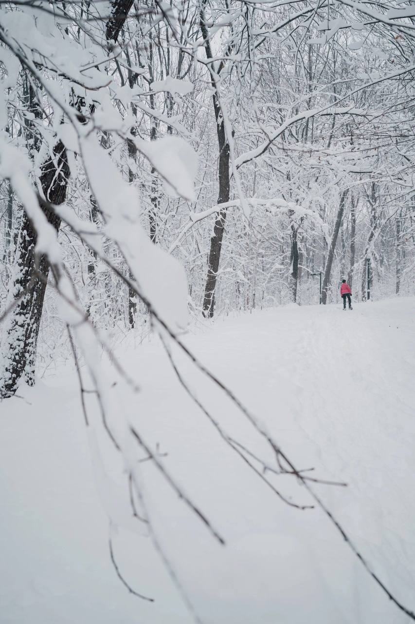 #加拿大?? #蒙特利尔 #雪