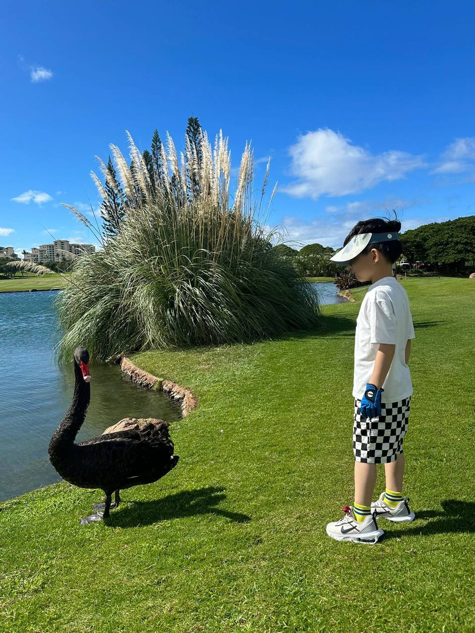 #美国?? #高尔夫   檀香山的球场 Ko Olina club