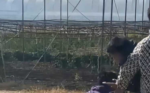 古惑仔看多了吧！四川冕宁 女孩纠集多人围殴