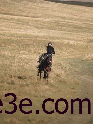 微密圈的MIYA，独家付费作品合集打包