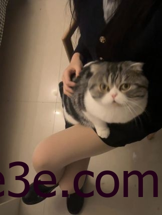 巨恶小锯鳄微密圈图片合集，个性穿搭尽显时尚魅力