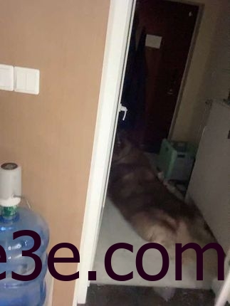 微密圈网红奶雯，用真诚和努力赢得万千粉丝