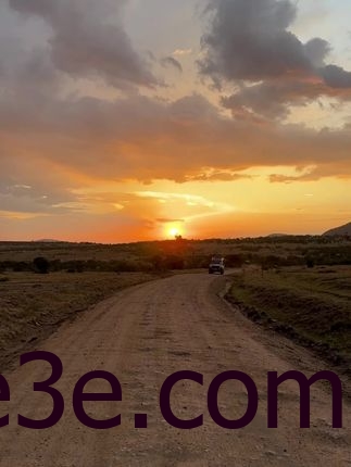 洁己ins叫什么名字？解密她在Ins上的名字