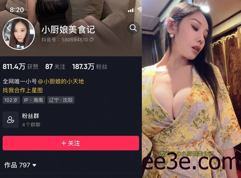 小厨娘美食记微密20部劲爆视频在哪里看