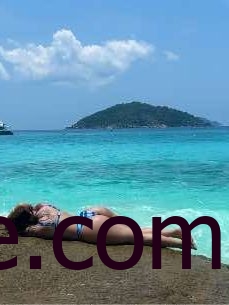 洁己最新活动与作品分享，分享她最新的活动和作品