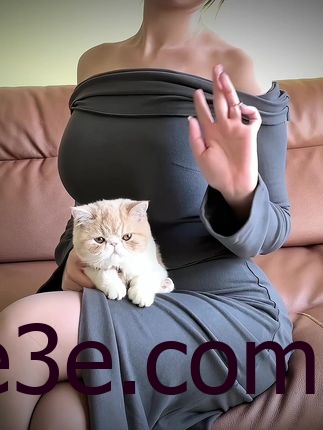 乙醇子微密圈特别推荐，最新发布