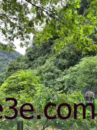 微密圈左公子666视频全集，网红女神的微密圈内容