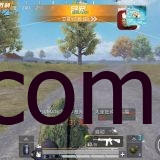 和平精英手游小林全防脚本V12.28