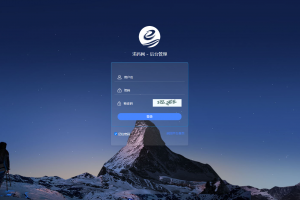 2021皇城人工代付/代付支付系统/代付源码/支付系统/手工代付