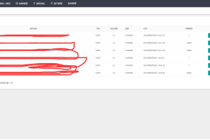 最新2022年9月多模式秒U盗U系统源码_授权+一波带走二合一-站长亲测