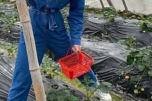 长沙芙蓉黄泥街 纯情姑娘的日常