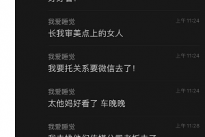 抖音百万粉丝网红「车晚晚」与有钱人 田总 群里直播嬳战 网络疯传