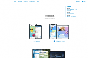 最新高仿TG假飞机源码