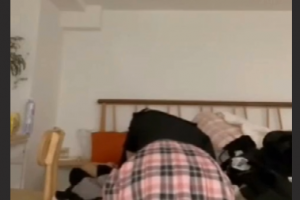 抖音50万粉丝网红“野餐兔”事件