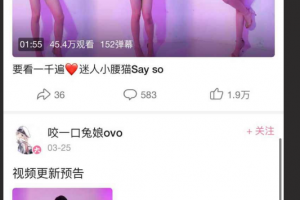 推特 B 站 咬一口兔娘 / 黏黏团子兔 / 兔叽桃奈奈 土豪定制露脸视频