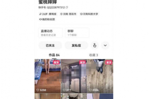 快手 蜜桃婶婶 擦边小主播 榜一大哥拿下边拍小视频