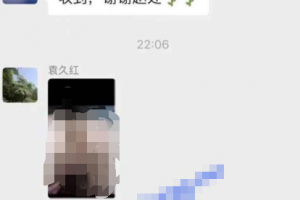 东南大学宣传部长 马克思主义学院院长 袁久红 在 300 多人工作群发色情照！