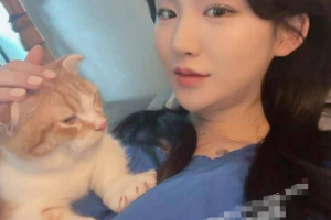 韩国 高颜值情侣自拍泄漏事件 先一起看学习技术 然后开始实战演练！