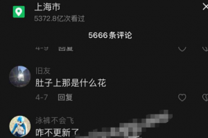 抖音 糖糖 / 我就是太阳 定制  花花纹身真好看 但更喜欢！