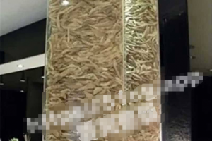 韩国整形医院大瓜！韩国首尔胸部整形医院内部摄像头泄露 30 多位女明星！