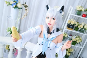 黑猫猫OvO 白上吹雪