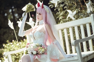 沧霁桔梗 002Darlinginthefranxx