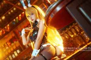 阳炎型小菠萝 北卡罗来纳