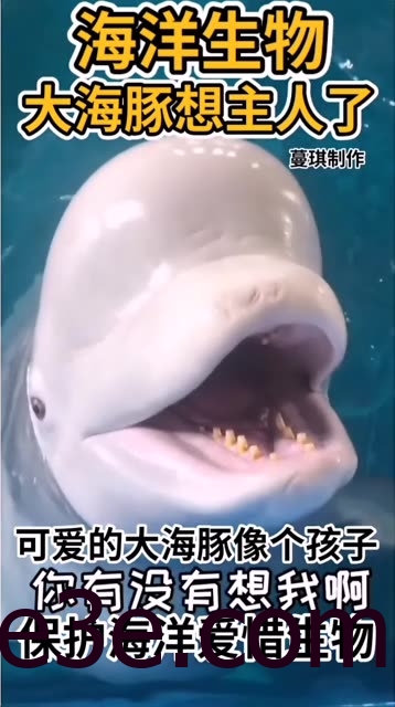 海豚baby微密圈精彩视频集锦，激情四射欲罢不能