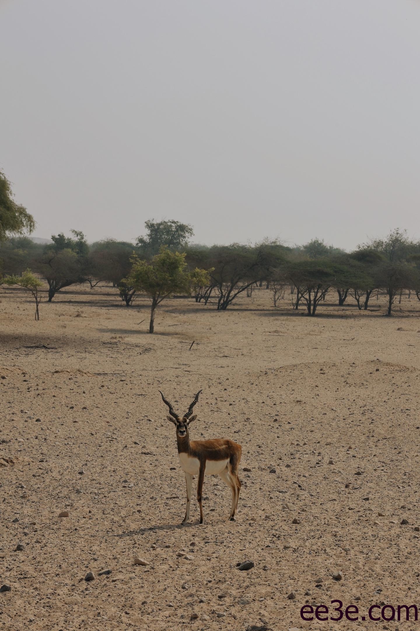 左公子666微博最新图片合集，微密圈的私密生活大揭秘