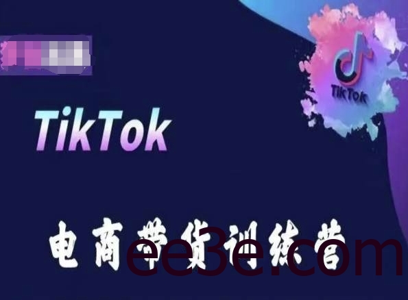 TikTok电商带货训练营，跟随时代潮流，跨境掘金
