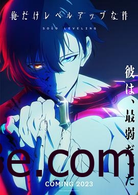 我独自升级 俺だけレベルアップな件 (更新至 第2季13)