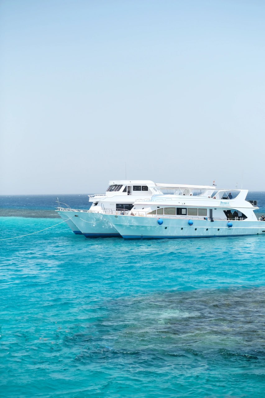 埃及华人网红  LICIA